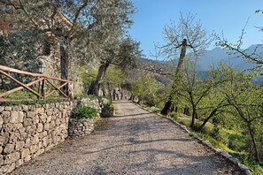 A gravel path flanked by stone walls and trees, leading towards a mountainous backdrop.
