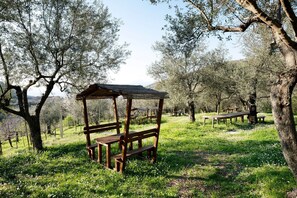 A wooden gazebo in a grassy field with trees in the background.