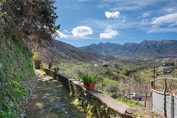 A stone pathway with a potted plant, overlooking a valley with mountains and a distant town.