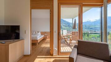 TV, tavolo da ping pong