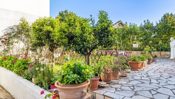 A stone-paved outdoor area with potted plants and a white statue.