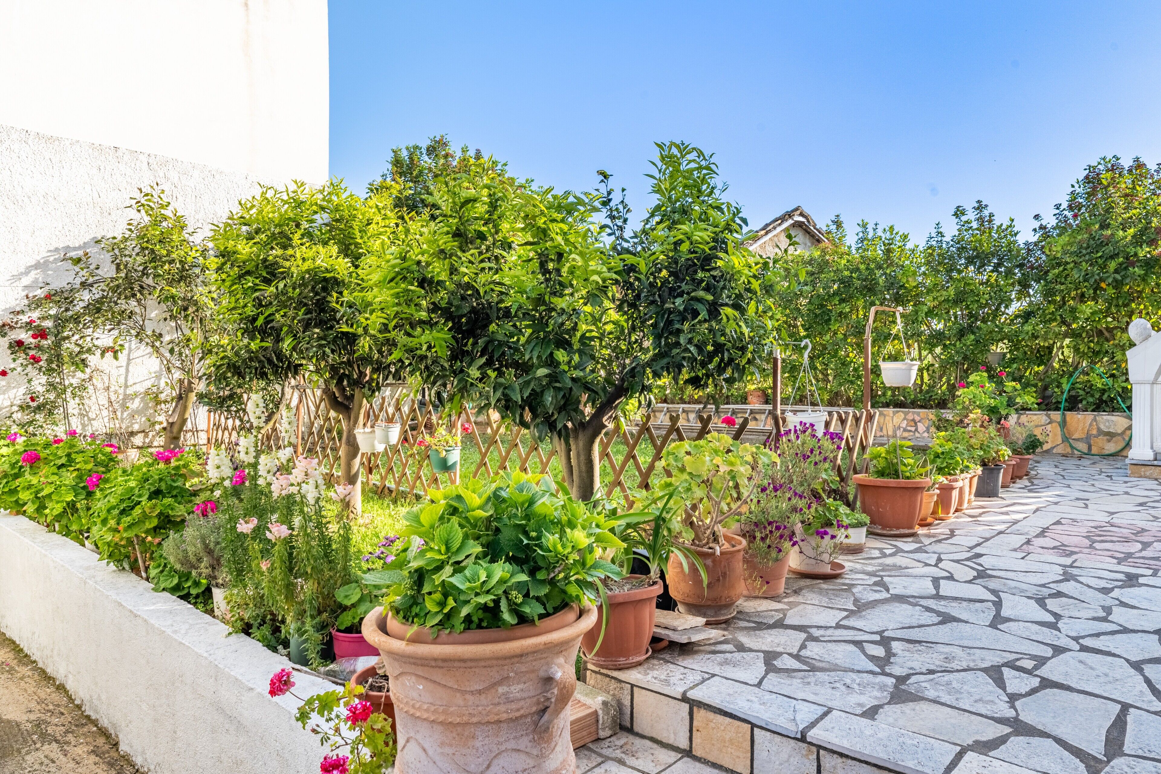 A stone-paved outdoor area with potted plants and a white statue.