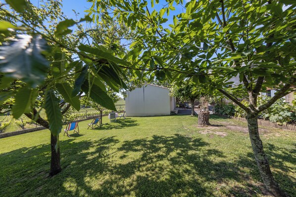 Área da propriedade