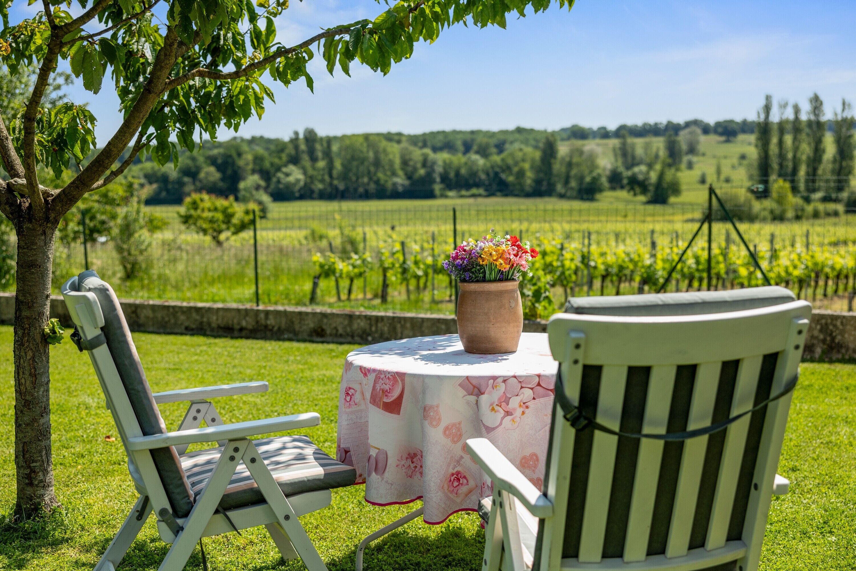 Une vue sur un jardin avec une table et des chaises, une plante en pot et un vignoble en arrière-plan.