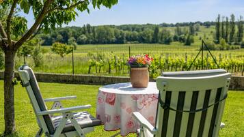 Une vue sur un jardin avec une table et des chaises, une plante en pot et un vignoble en arrière-plan.