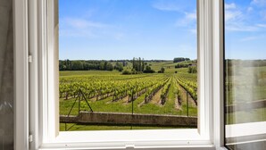 Une fenêtre donnant sur un vignoble.