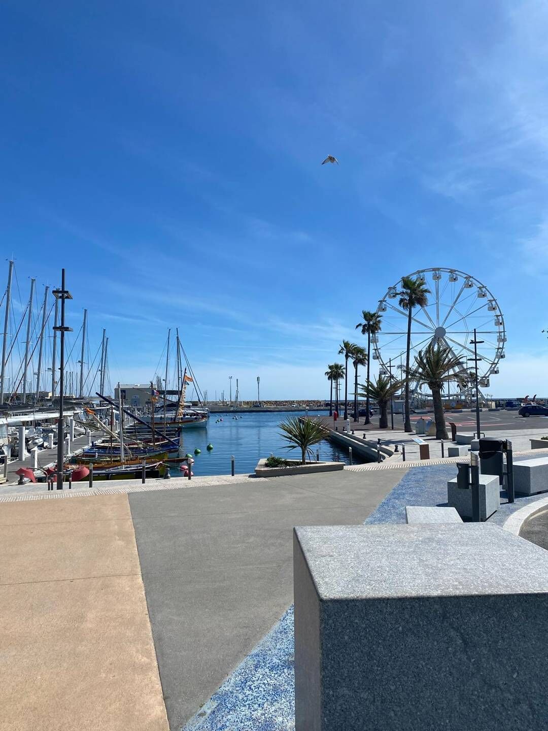Ein Yachthafen mit Booten, einem Riesenrad und blauem Himmel.