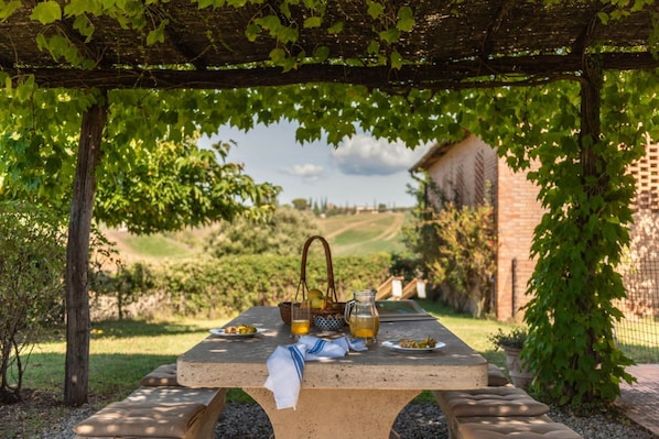 A picnic table set up under a pergola with a vineyard view, a basket, and a pitcher of drink.