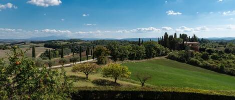 Una vista panorámica de una finca campestre con colinas ondulantes, un césped cuidado y una estructura distante que recuerda a un castillo.