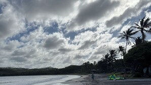 Ein Strand mit Zelt und Palmen.