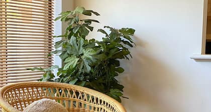 Homely Cosy Family Getaway, 5 Mins to Beach