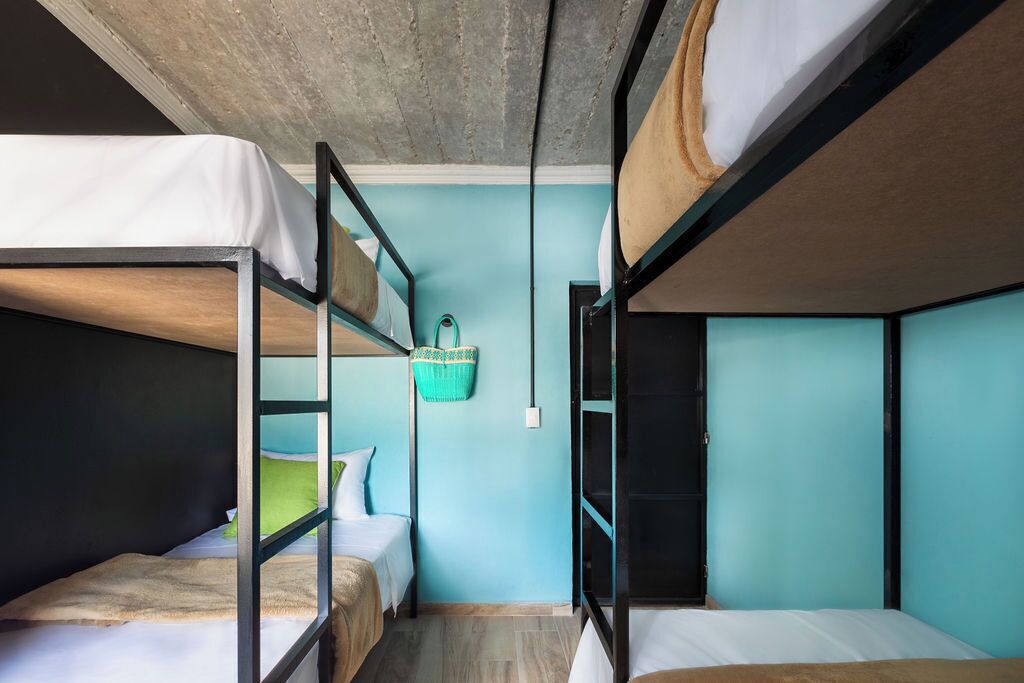Habitación con literas, techo de concreto, paredes color esmeralda y una cesta colgante.