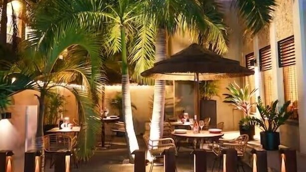 An outdoor dining area with tables and chairs, surrounded by palm trees and a building with a thatched roof. - Palapa Suite # 8, walk to Eagle Beach (Eagle)