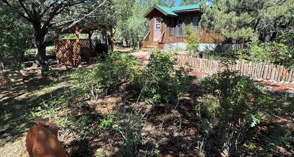 Cozy Mountain Hermitage Cabin