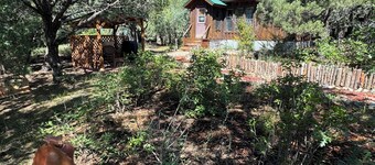 Cozy Mountain Hermitage Cabin
