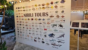 A large informational poster titled "NIRI TOUR" displaying various fish and marine life illustrations. - Nirili Villa (Dhiffushi)