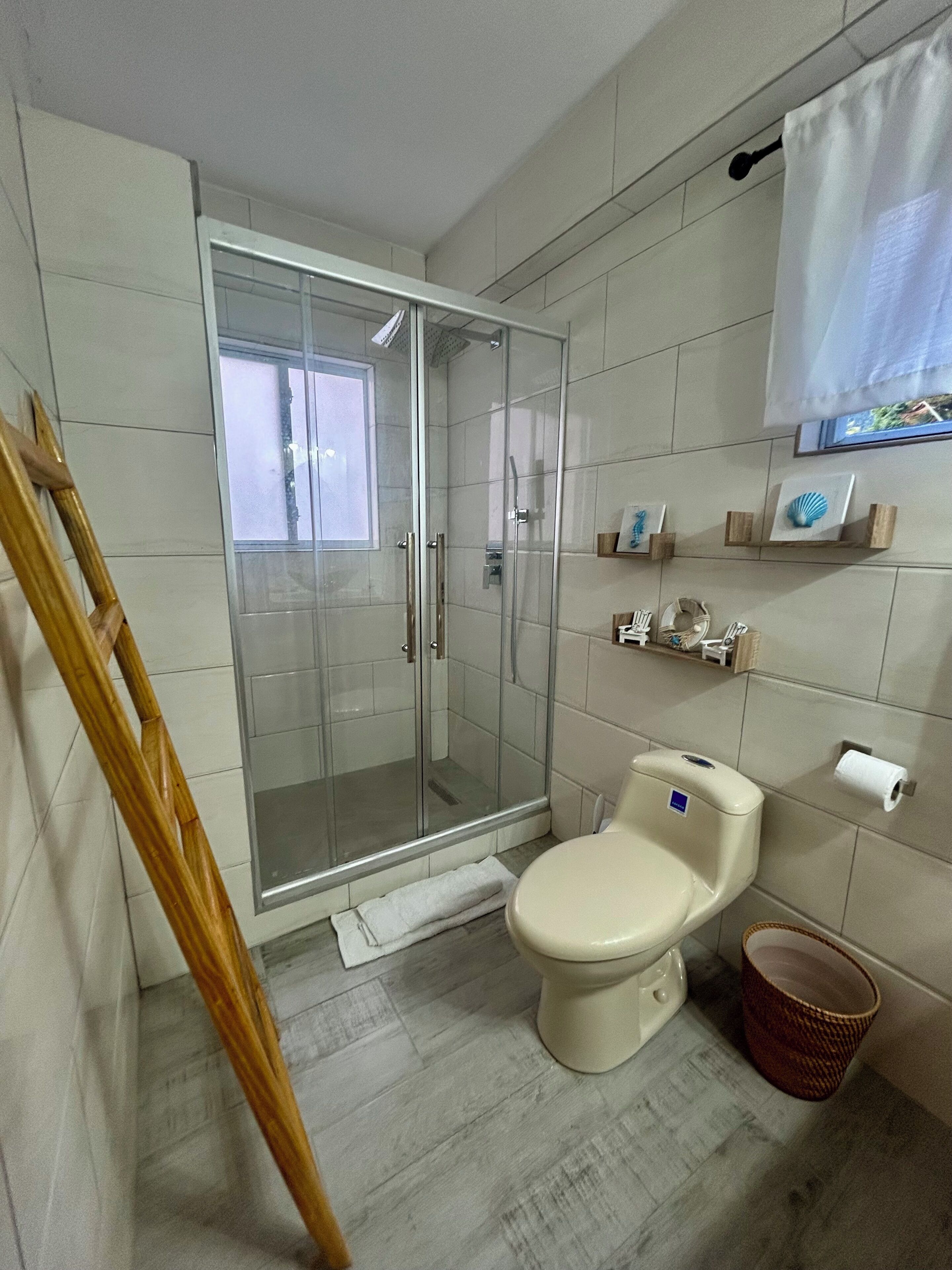 A bathroom with a glass-enclosed shower, a toilet, and a wooden ladder.