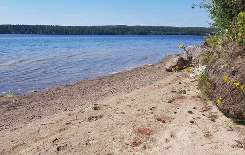 Cozy home in Bjurholm with sauna