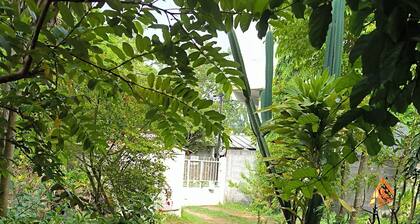 Spacious 4-bedroom Studios in marvelous Pointe aux Canonniers with WiFi, AC