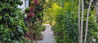 Souriamvilla Studios - Studio 4