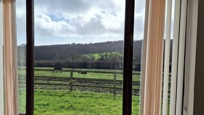 A view through a window with a wooden fence and a grassy field.