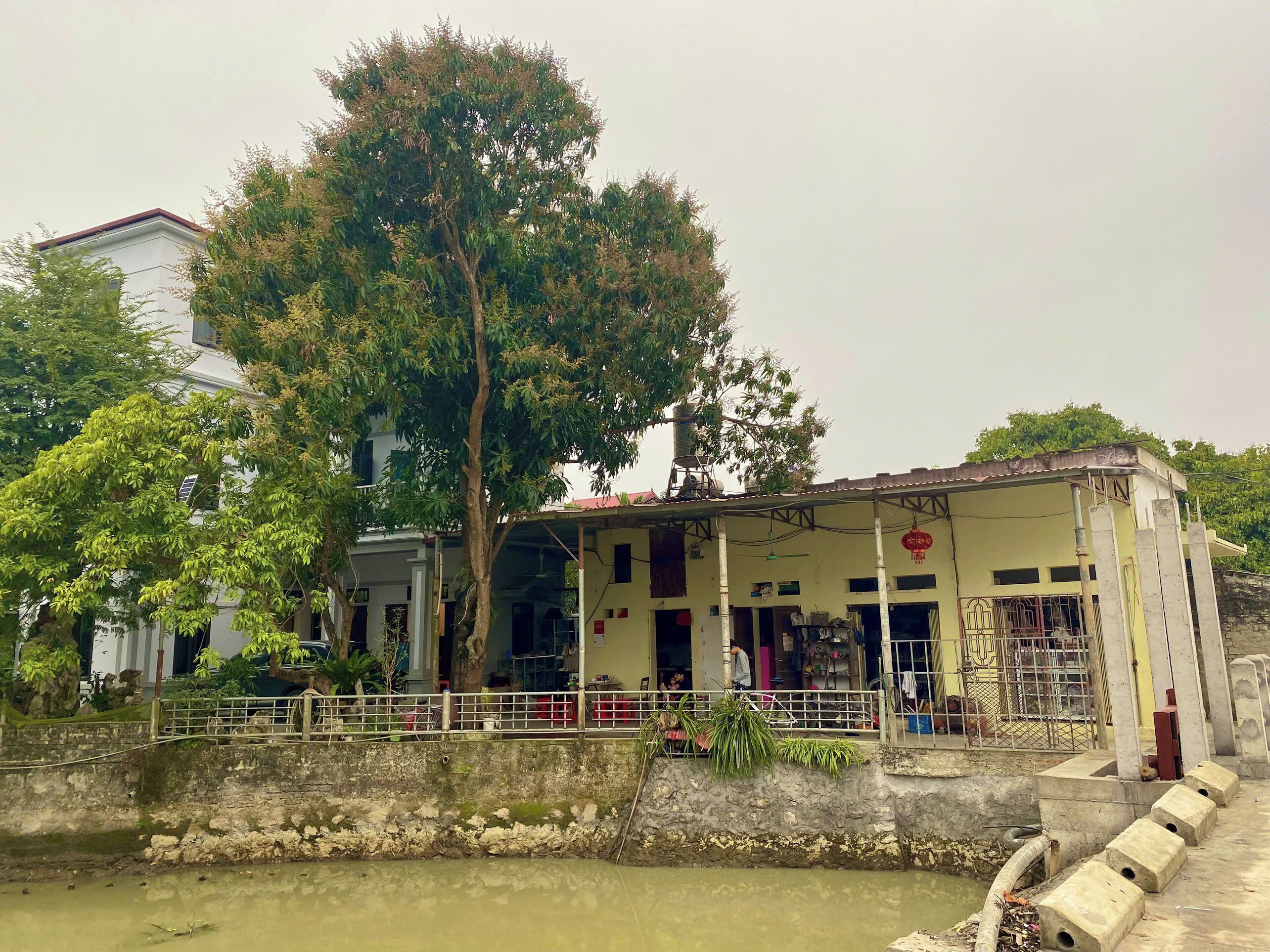 A building with a covered porch, a large tree in front, and a stone wall beside a water body.