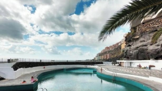 Una piscina de borde curvo, una palmera y un acantilado rocoso al fondo.