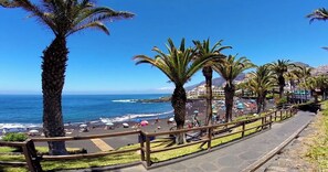 Playa en los alrededores 