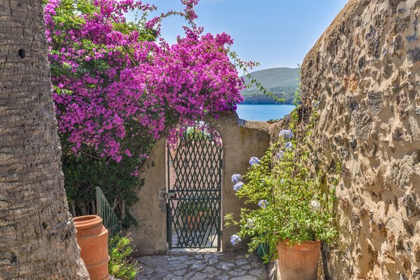 Property grounds - Villa le tre palme 8 beds in the center of Porto Azzurro (Porto Azzurro)