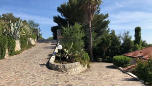 Un sentier pavé de pierres qui monte une pente, bordé d’une végétation luxuriante et entouré d’un mur de pierres.
