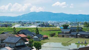 A residential area with traditional houses, a large body of water, and a mountain in the background.