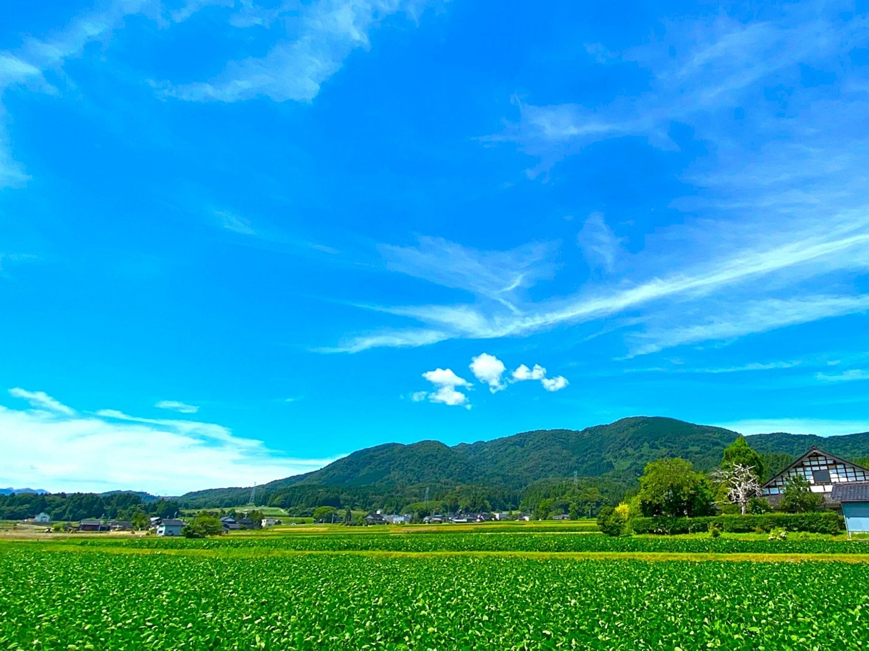 Paesaggio rurale con un campo coltivato, una catena montuosa e una casa tradizionale.