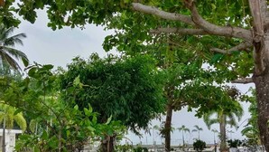 Front of property - 8988 Beach Resort (Tunggaljaya)