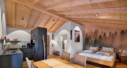 Apartment Heimatgefühl 36sqm, comb. Living-bedroom, balcony, modern kitchen, bathroom with rock shower and WC, max. 3 pers.