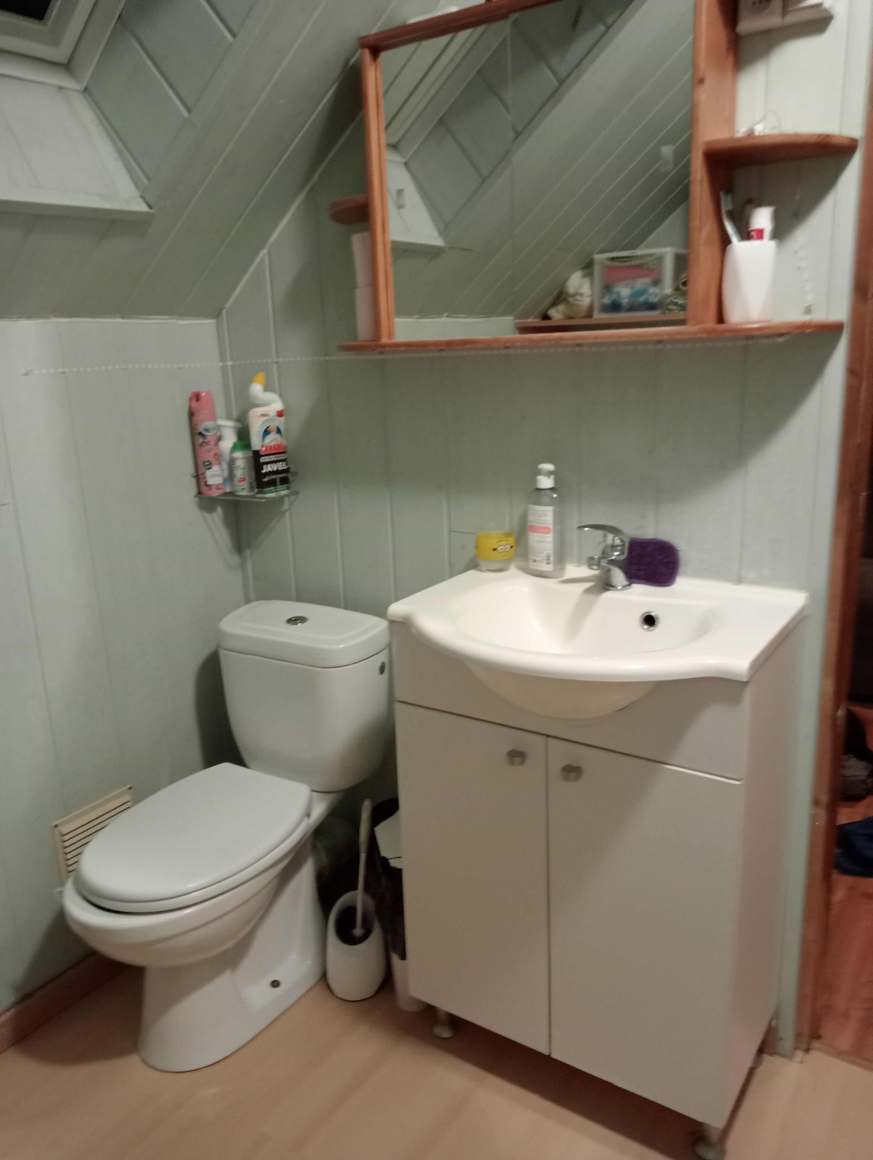 Une salle de bain avec des toilettes, un lavabo et un miroir. Des articles de toilette sont accrochés au mur.