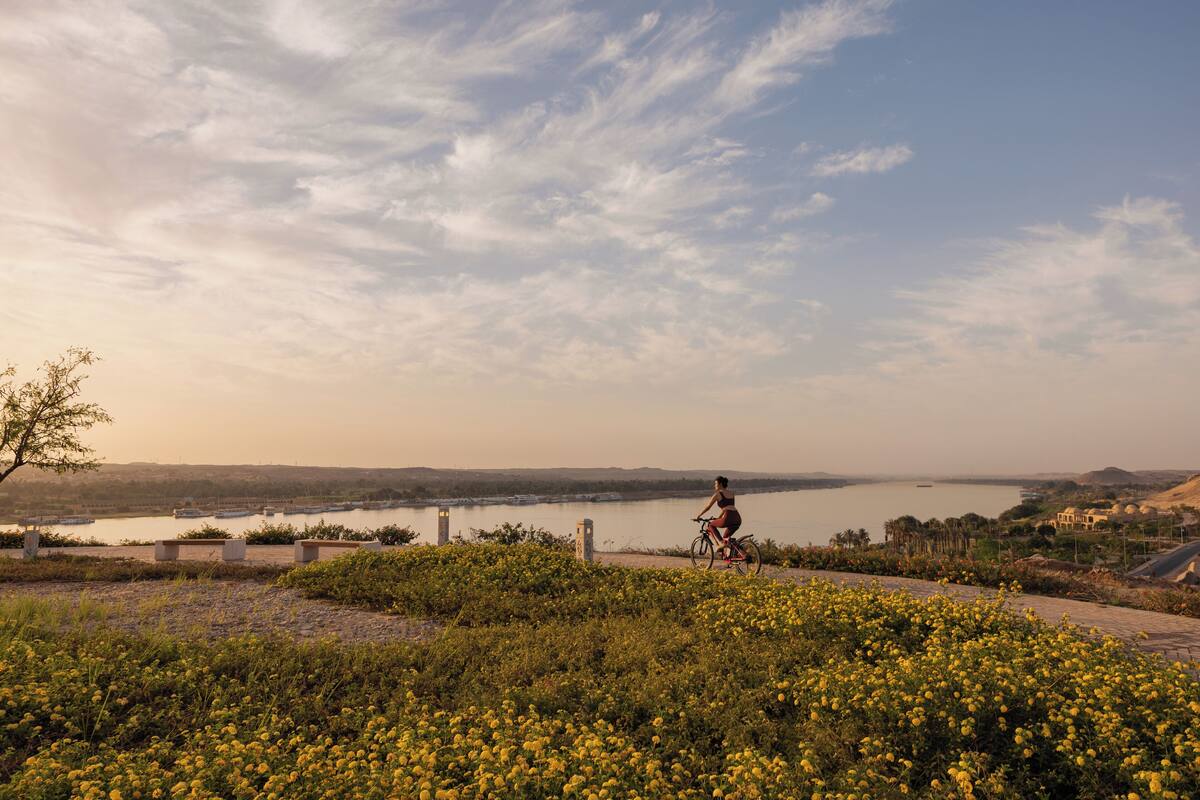 A person riding a bicycle on a path with yellow flowers, overlooking a body of water and distant hills.