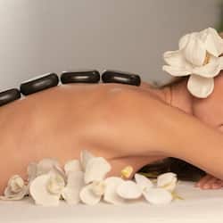 Phòng tắm hơi, bồn tắm thủy lực, trị liệu toàn thân, khu tắm bùn