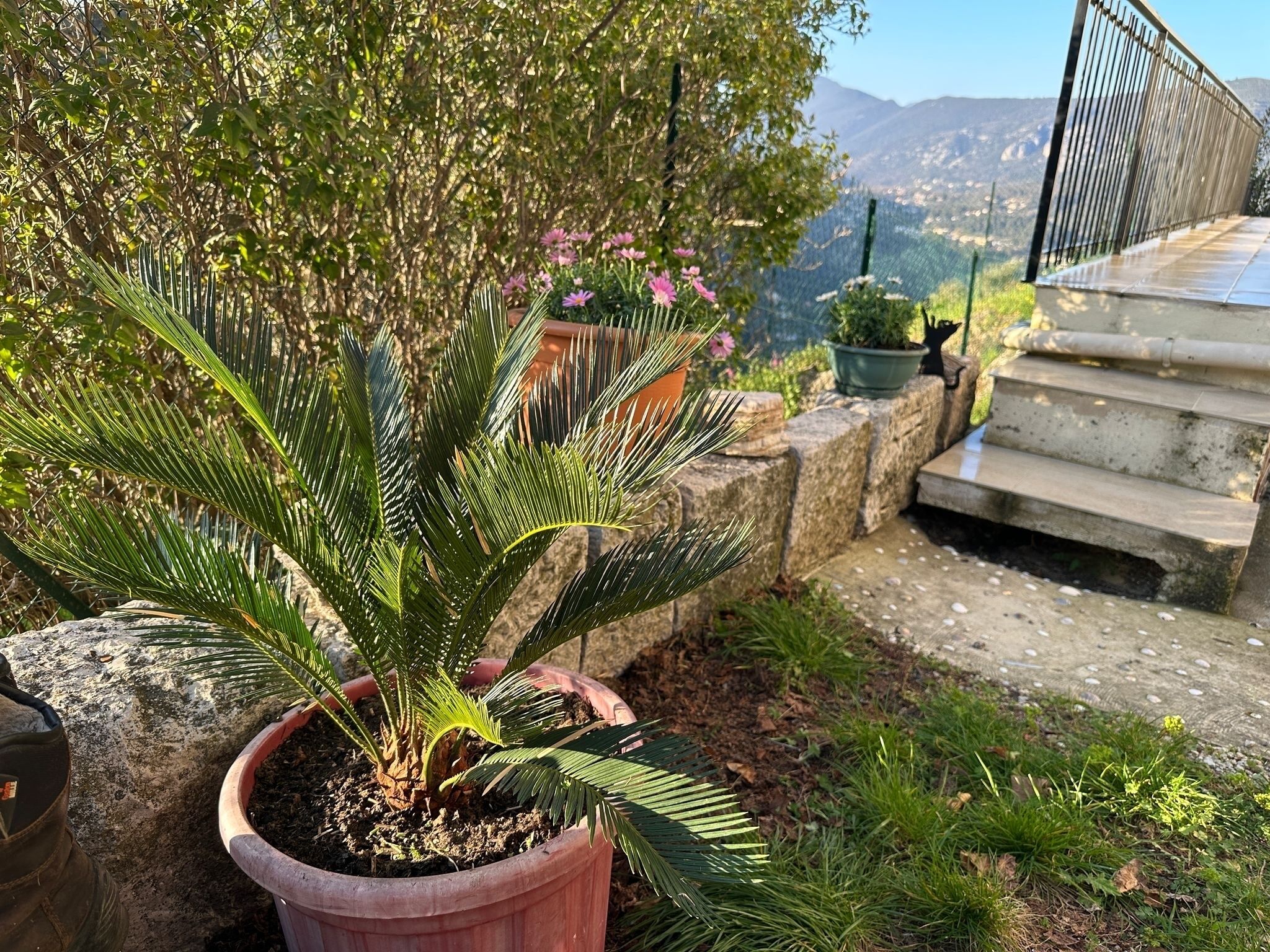 Jardines del alojamiento