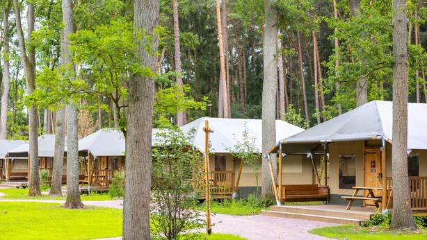 A row of cabins with wooden decks and picnic tables, surrounded by a forested area. - Luxuszelt im Serengeti Park (Hodenhagen)