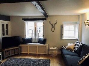 Smart TV, fireplace, books