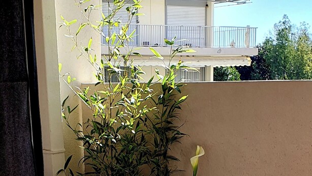 A small, cozy seating area with a cushioned bench, a white pillow, and a potted plant. - Apartment 2 pers Residence PISCINE Mandelieu La Napoule Beaches 15mn walk (Mandelieu-la-Napoule)