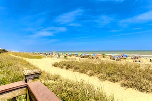 Nära stranden