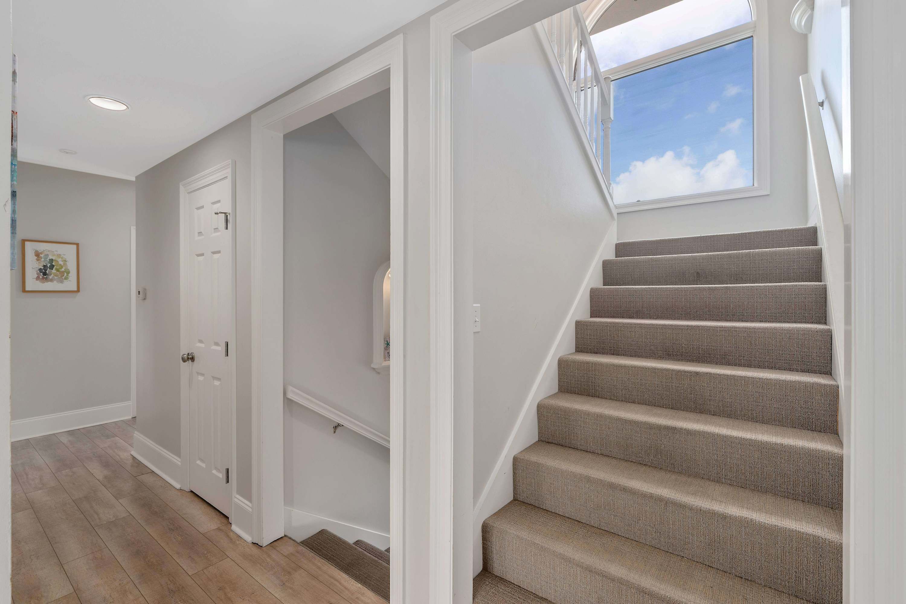 A staircase with carpeted steps leading to a landing, a white door, and a skylight above.