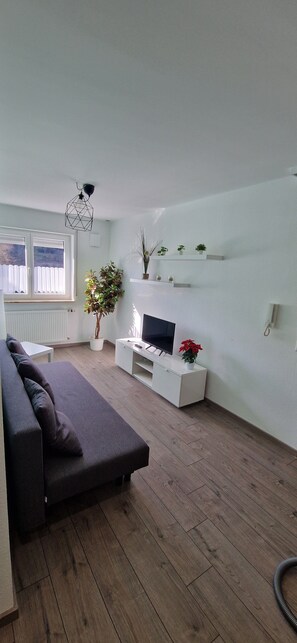 Living area - Vacation apartment / fitter's apartment in a quiet location (Leidersbach)