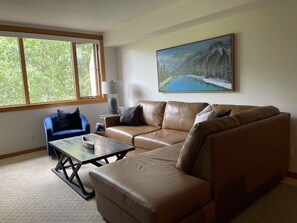 Smart TV, lareira, livros