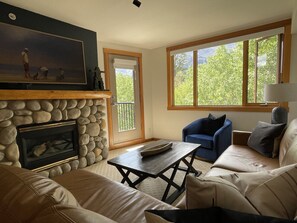 Smart TV, caminetto, libri