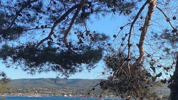 A marina with boats docked, a rocky shoreline, and a view of the sea and distant hills. - T3-LES TERRASSES DE LA MADRAGUE-SEA VIEW-PARKING LOT (Saint-Cyr-sur-Mer)