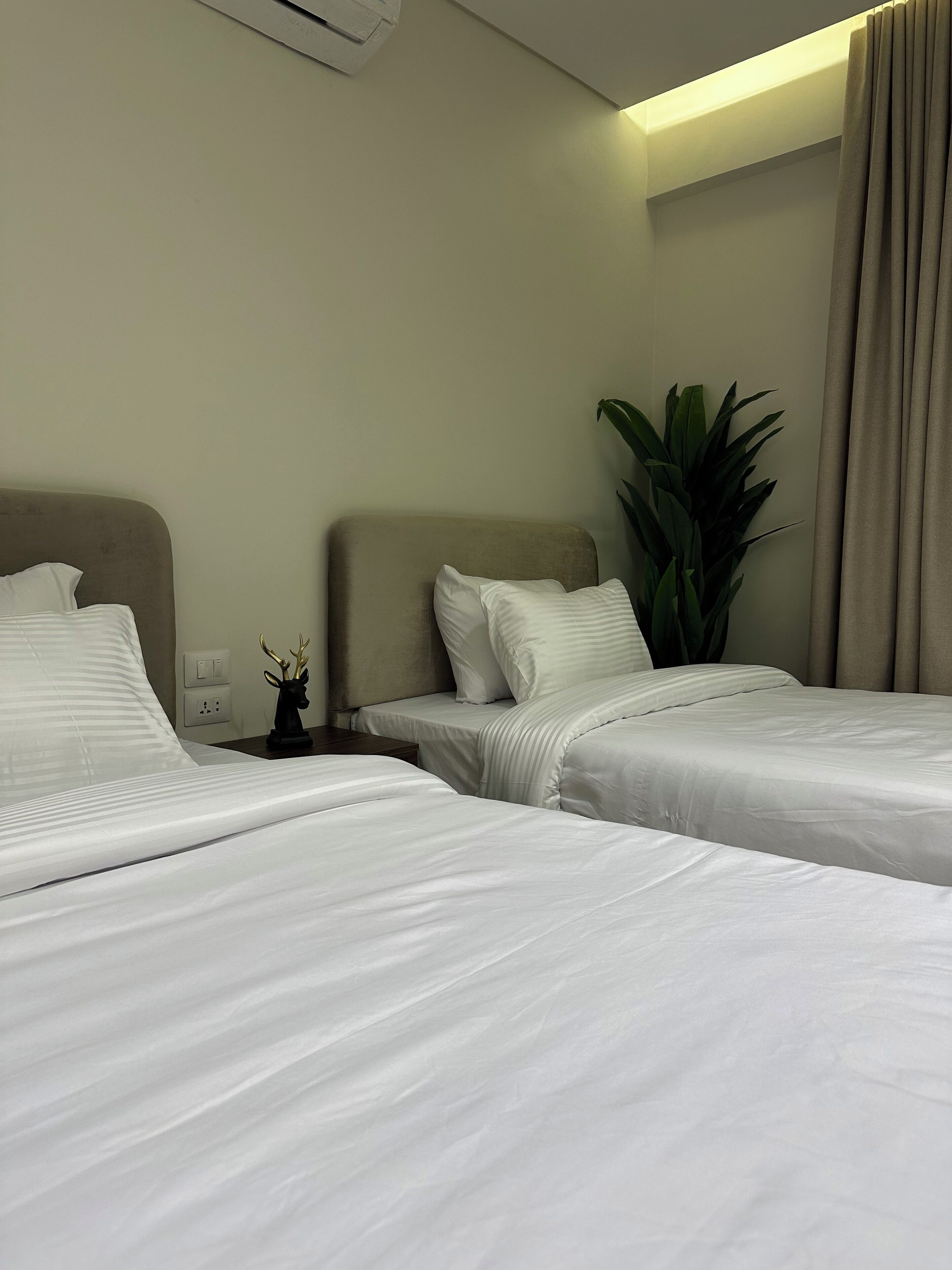 A hotel room with two beds, a potted plant, and a nightstand with a lamp.