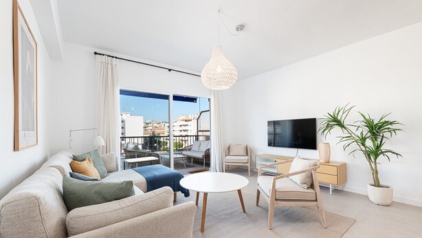 Ein modernes Wohnzimmer mit einer Couch, Sesseln, einem Couchtisch, einem Fernseher und einer Topfpflanze.