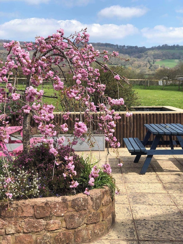 House | Outdoor dining